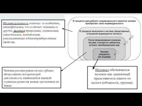 Человек рассматривается как субъект общественно-исторической деятельности, являющийся высшей ступенью развития живых