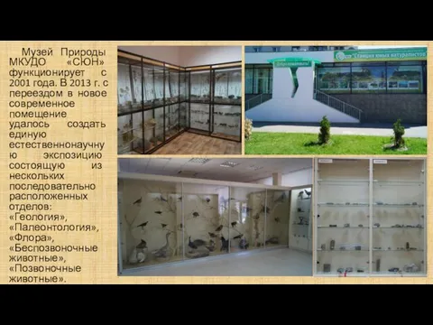 Музей Природы МКУДО «СЮН» функционирует с 2001 года. В 2013 г.