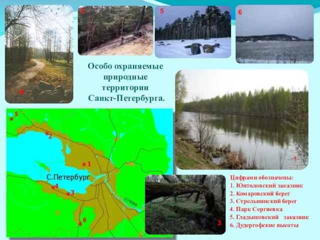 Особо охраняемые природные территории Санкт-Петербурга. Цифрами обозначены: 1. Юнтоловский заказник 2.