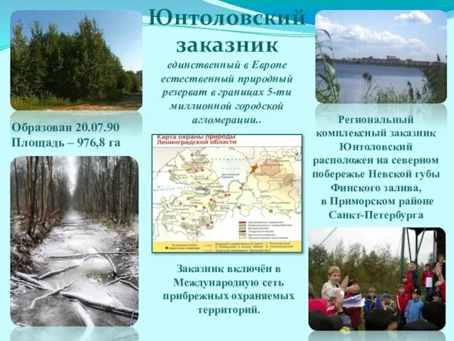 Юнтоловский заказник единственный в Европе естественный природный резерват в границах 5-ти