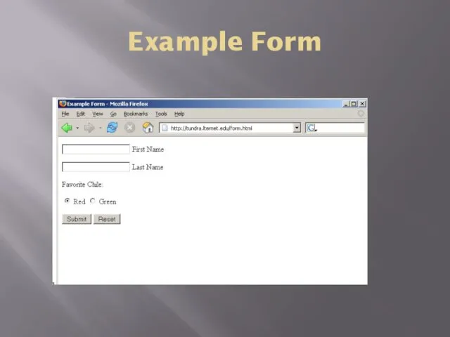 Example Form