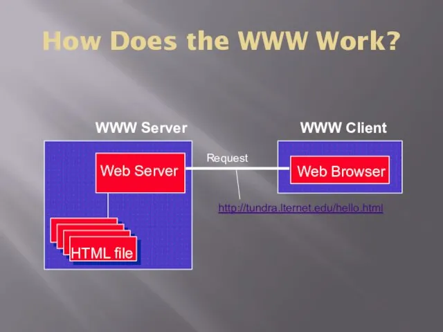 How Does the WWW Work? WWW Server HTML file Web Server WWW Client Request http://tundra.lternet.edu/hello.html