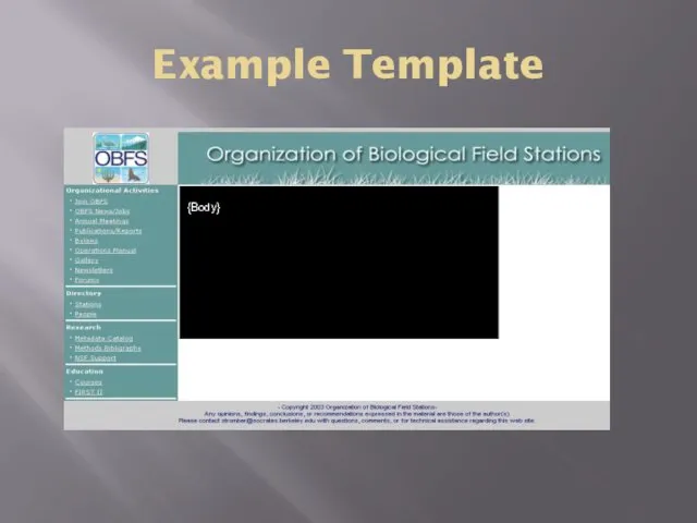 Example Template