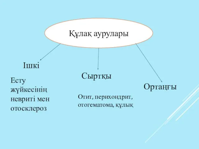 Құлақ аурулары Ішкі Сыртқы Ортаңғы Отит, перихондрит, отогематома, құлық Есту жүйкесінің невриті мен отосклероз