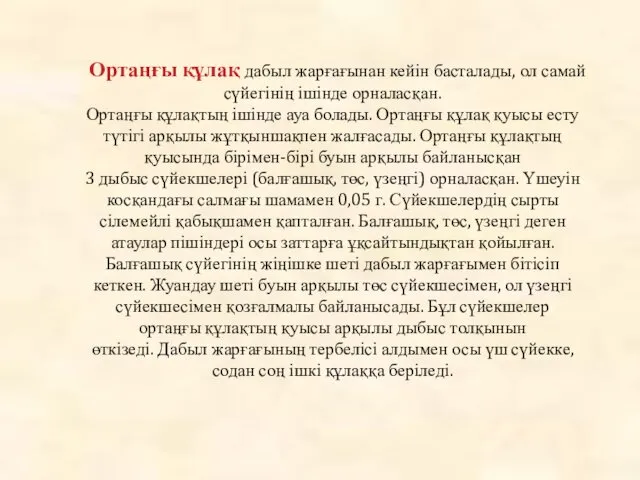 Ортаңғы құлақ дабыл жарғағынан кейін басталады, ол самай сүйегінің ішінде орналасқан.