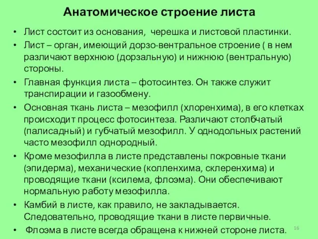 Анатомическое строение листа Лист состоит из основания, черешка и листовой пластинки.