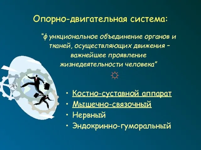 Опорно-двигательная система: “функциональное объединение органов и тканей, осуществляющих движения – важнейшее