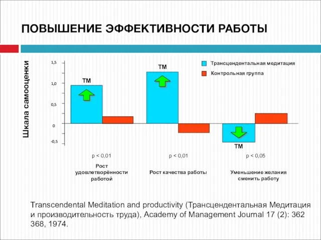 Transcendental Meditation and productivity (Трансцендентальная Медитация и производительность труда), Academy of