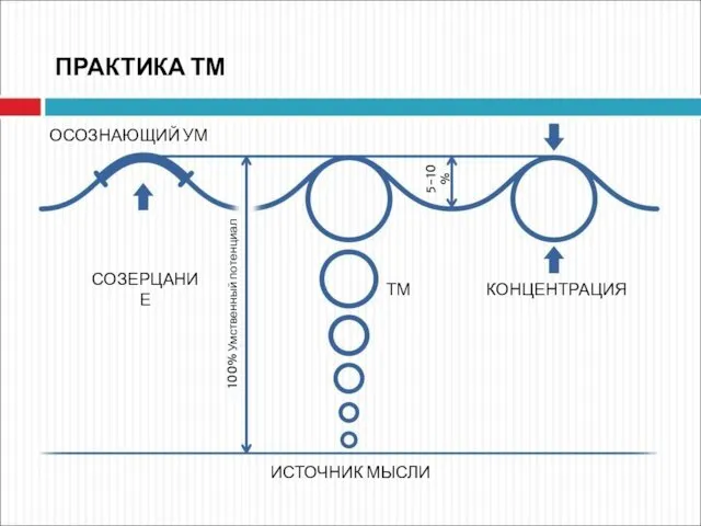 ПРАКТИКА ТМ ОСОЗНАЮЩИЙ УМ ИСТОЧНИК МЫСЛИ КОНЦЕНТРАЦИЯ СОЗЕРЦАНИЕ ТМ 100% Умственный потенциал 5-10%