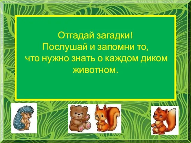 Отгадай загадки! Послушай и запомни то, что нужно знать о каждом диком животном.