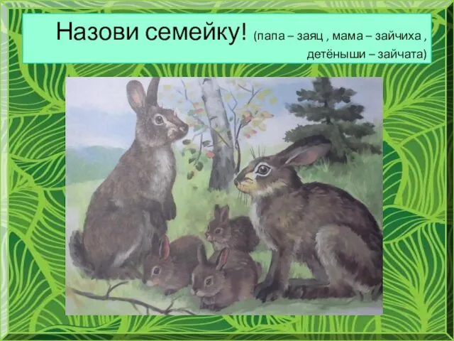 Назови семейку! (папа – заяц , мама – зайчиха , детёныши – зайчата)