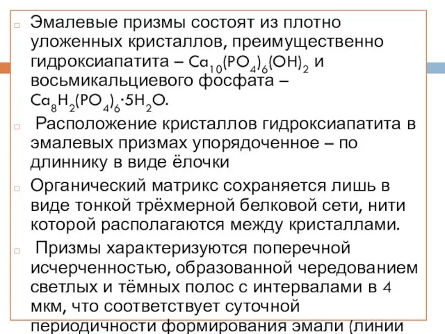 Эмалевые призмы состоят из плотно уложенных кристаллов, преимущественно гидроксиапатита – Ca10(PO4)6(OH)2