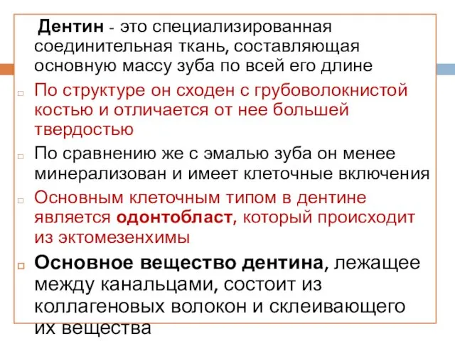 Дентин - это специализированная соединительная ткань, составляющая основную массу зуба по