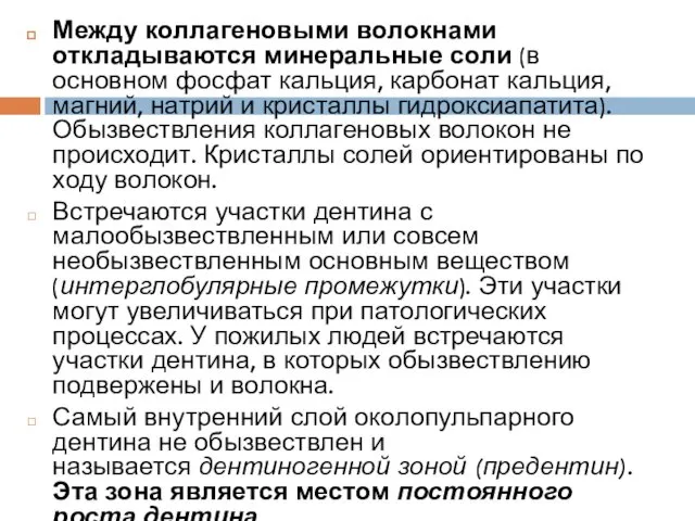 Между коллагеновыми волокнами откладываются минеральные соли (в основном фосфат кальция, карбонат