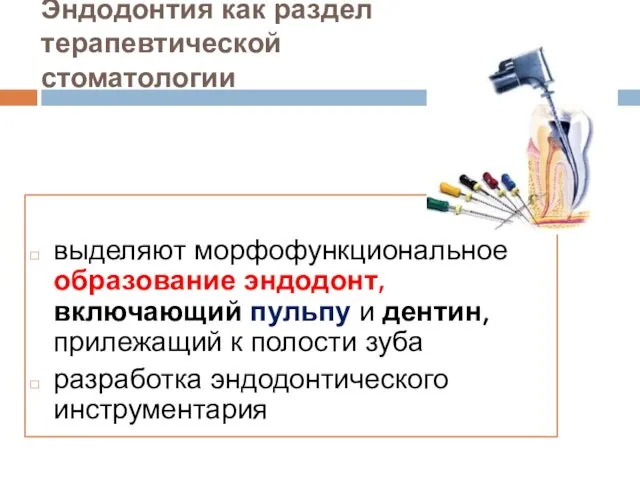 Эндодонтия как раздел терапевтической стоматологии выделяют морфофункциональное образование эндодонт, включающий пульпу