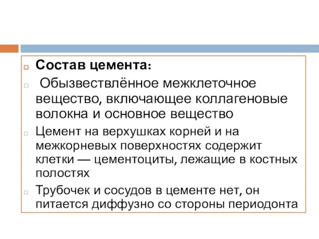 Состав цемента: Обызвествлённое межклеточное вещество, включающее коллагеновые волокна и основное вещество