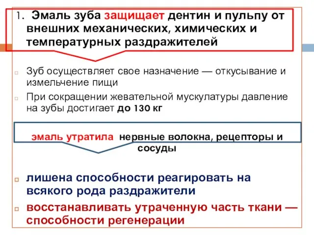 1. Эмаль зуба защищает дентин и пульпу от внешних механических, химических