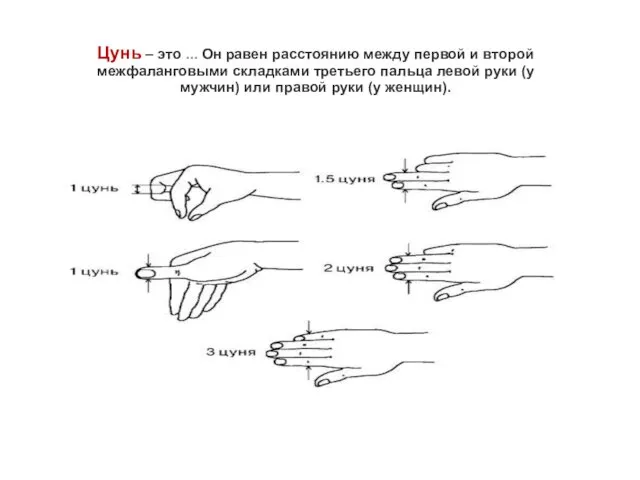 Цунь – это ... Он равен расстоянию между первой и второй