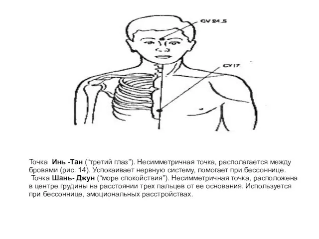 Точка Инь -Тан (“третий глаз”). Несимметричная точка, располагается между бровями (рис.