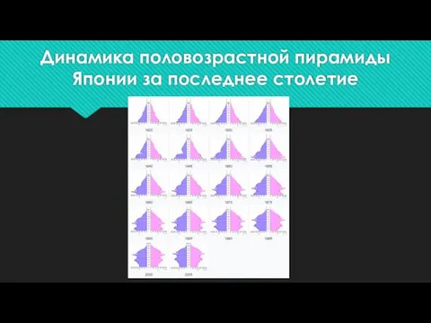 Динамика половозрастной пирамиды Японии за последнее столетие