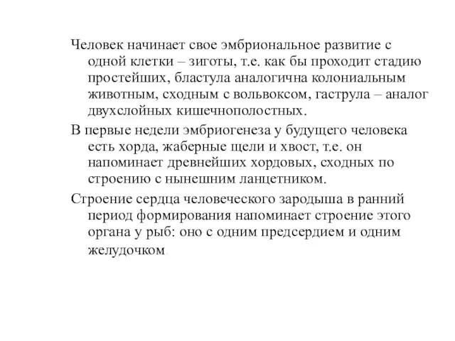 Человек начинает свое эмбриональное развитие с одной клетки – зиготы, т.е.