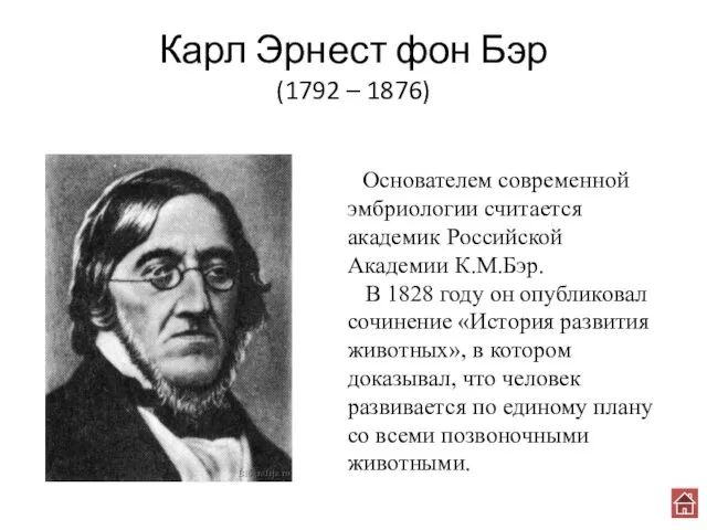 Карл Эрнест фон Бэр (1792 – 1876) Основателем современной эмбриологии считается