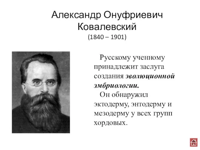 Александр Онуфриевич Ковалевский (1840 – 1901) Русскому ученному принадлежит заслуга создания