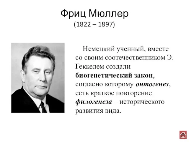 Фриц Мюллер (1822 – 1897) Немецкий ученный, вместе со своим соотечественником