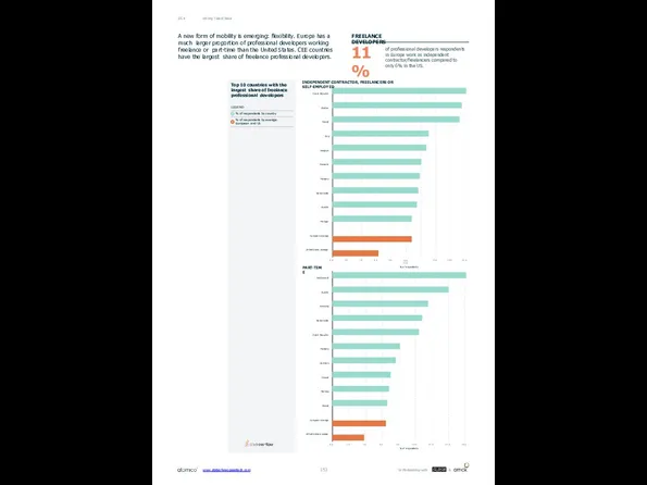 Top 10 countries with the largest share of freelance professional developers