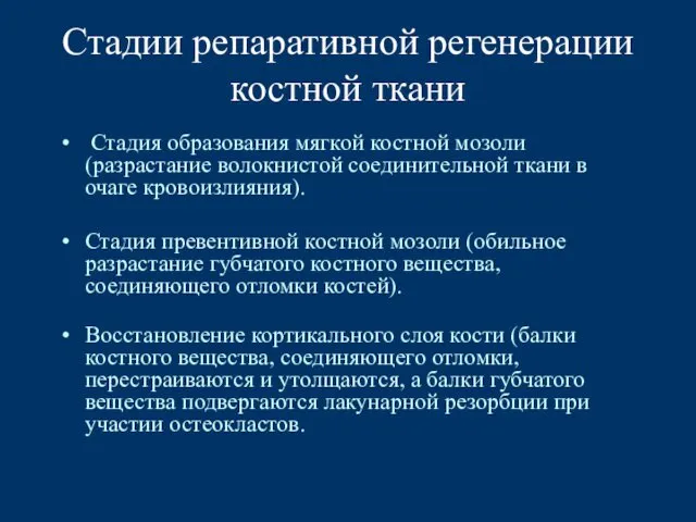 Стадии репаративной регенерации костной ткани Стадия образования мягкой костной мозоли (разрастание