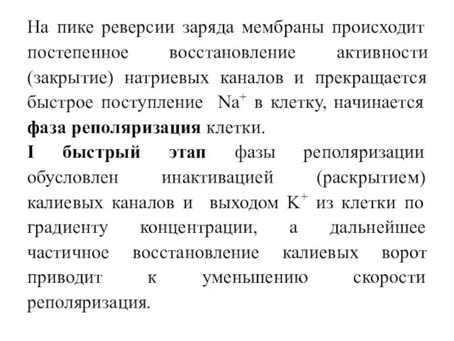 На пике реверсии заряда мембраны происходит постепенное восстановление активности (закрытие) натриевых