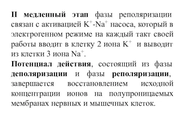 II медленный этап фазы реполяризации связан с активацией K+-Na+ насоса, который