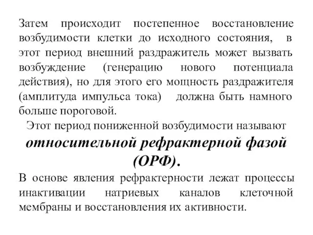 Затем происходит постепенное восстановление возбудимости клетки до исходного состояния, в этот