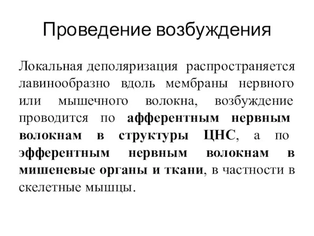 Проведение возбуждения Локальная деполяризация распространяется лавинообразно вдоль мембраны нервного или мышечного