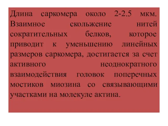 Длина саркомера около 2-2.5 мкм. Взаимное скольжение нитей сократительных белков, которое