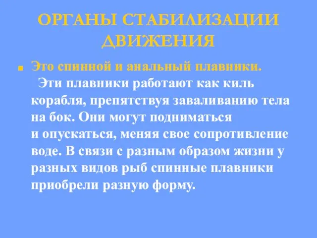 ОРГАНЫ СТАБИЛИЗАЦИИ ДВИЖЕНИЯ Это спинной и анальный плавники. Эти плавники работают