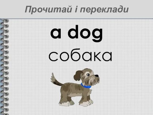 a dog собака Прочитай і переклади