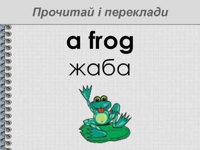 a frog жаба Прочитай і переклади