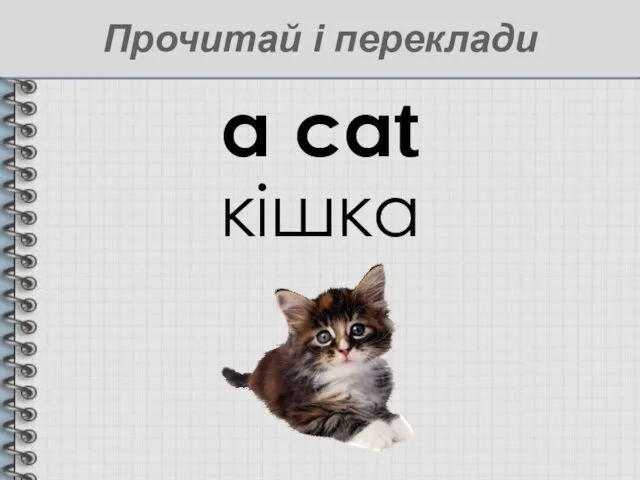 a cat кішка Прочитай і переклади