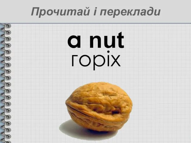 a nut горіх Прочитай і переклади