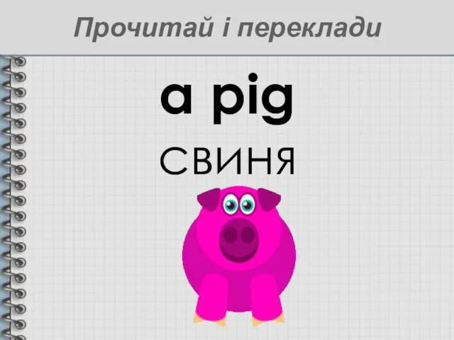 a pig свиня Прочитай і переклади