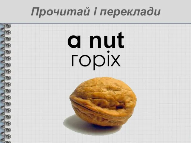 a nut горіх Прочитай і переклади