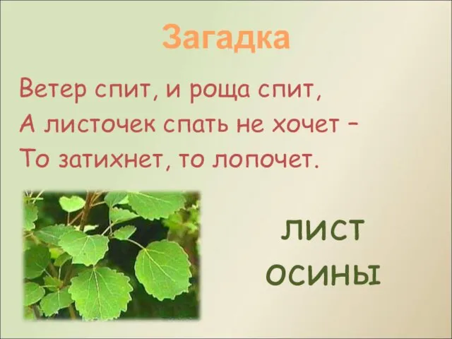 Ветер спит, и роща спит, А листочек спать не хочет –