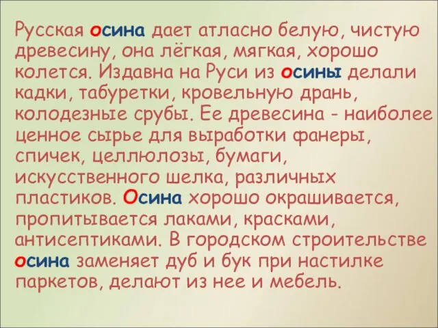 Русская осина дает атласно белую, чистую древесину, она лёгкая, мягкая, хорошо