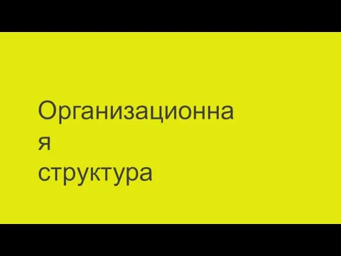 Организационная структура