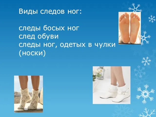 Виды следов ног: следы босых ног след обуви следы ног, одетых в чулки (носки)