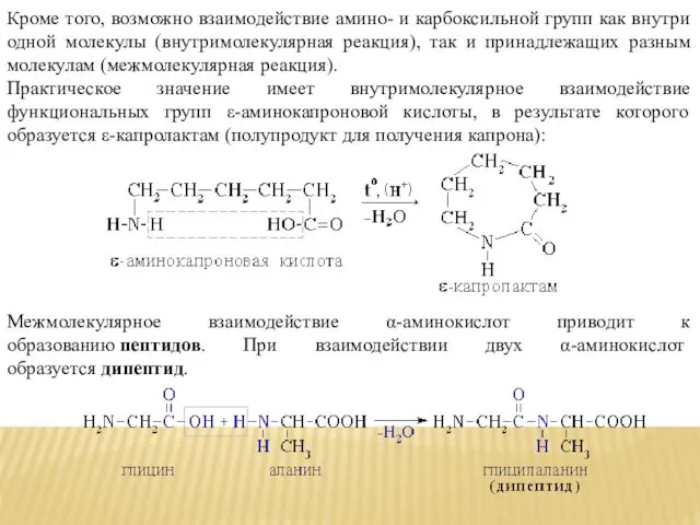 Кроме того, возможно взаимодействие амино- и карбоксильной групп как внутри одной