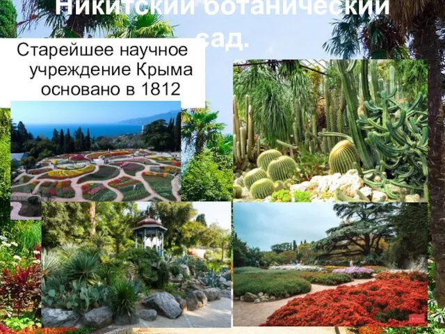 Никитский ботанический сад. Старейшее научное учреждение Крыма основано в 1812 году.