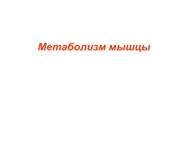 Метаболизм мышцы