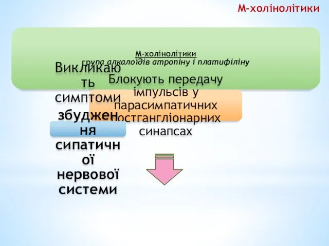 М-холінолітики М-холінолітики група алкалоїдів атропіну і платифіліну Блокують передачу імпульсів у